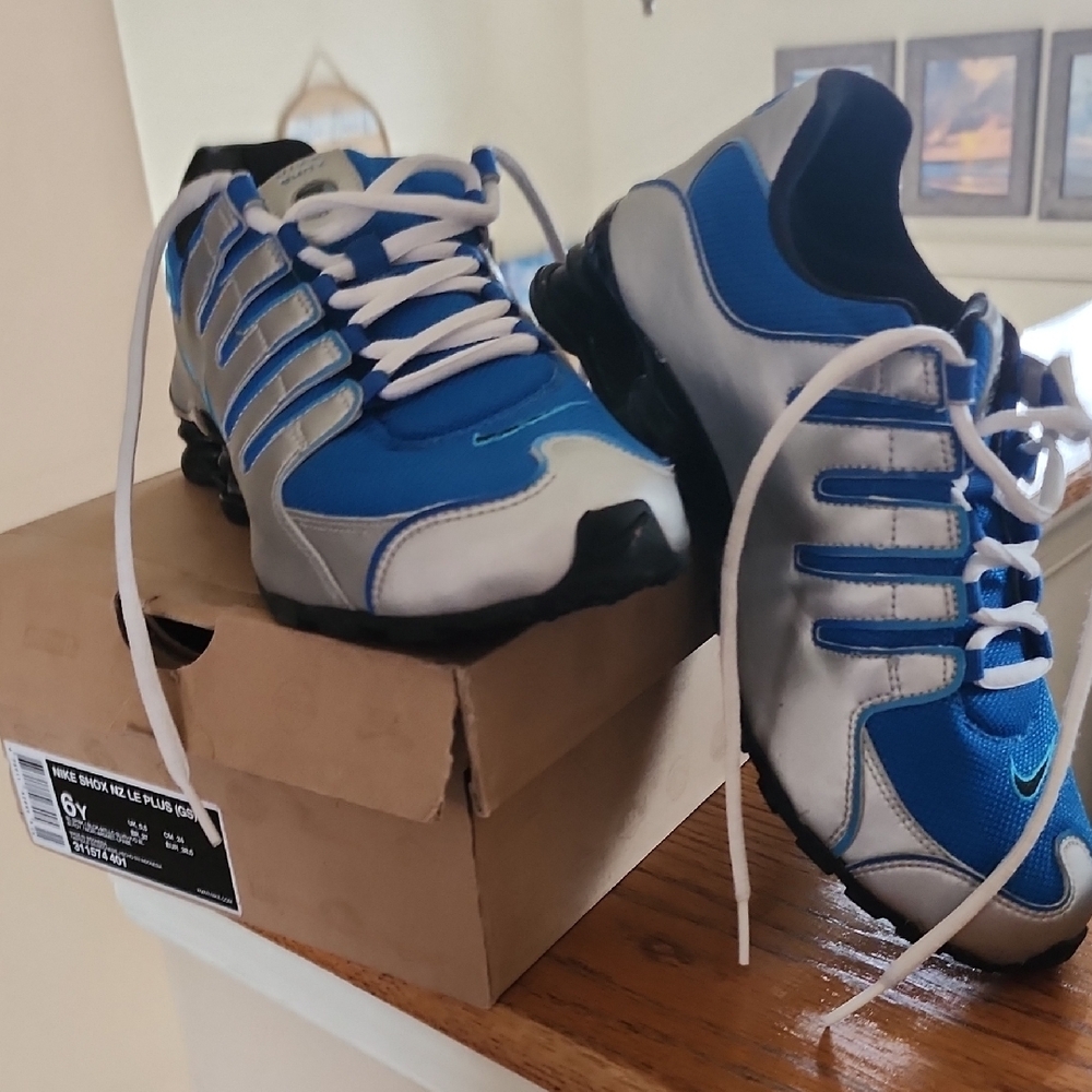 Nike Blue and Silver Sneakers